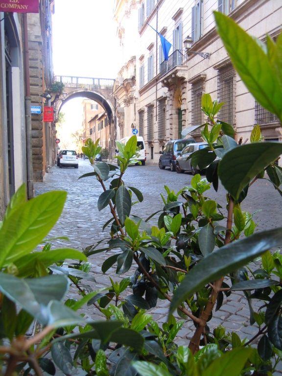 Apartamento Via Giulia Roma